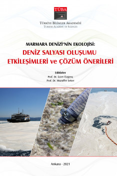 Ecology of the Marmara Sea: Formation and Interactions of Marine Mucilage, and Recommendations for Solutions